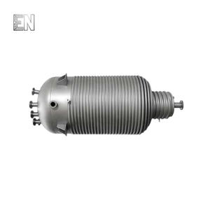 Stainless Steel Reactor